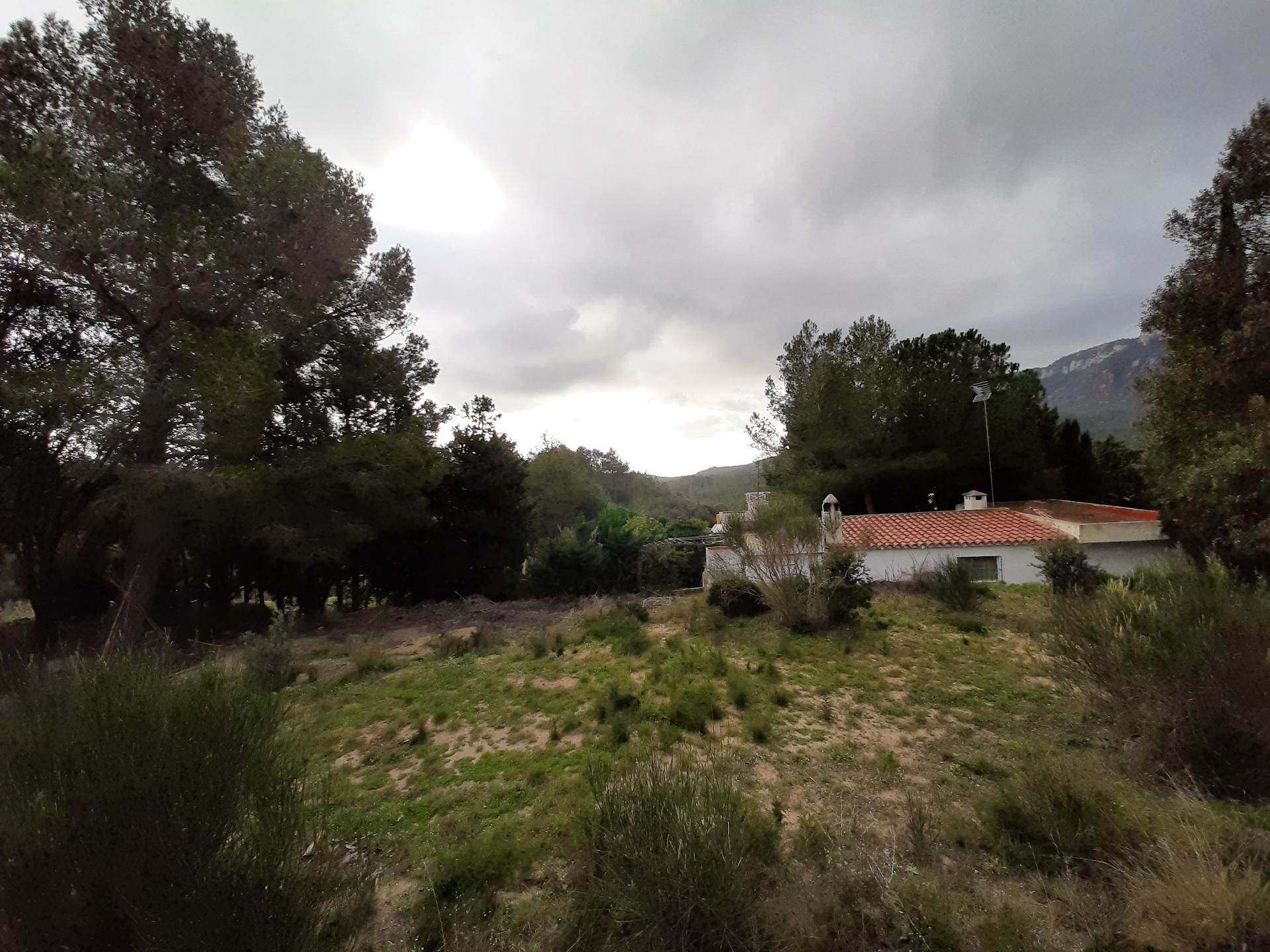 House - Montroig Del Camp - 3 bedrooms - 0 persons